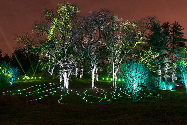 Illumination Holiday Lighting at The Morton Arboretum