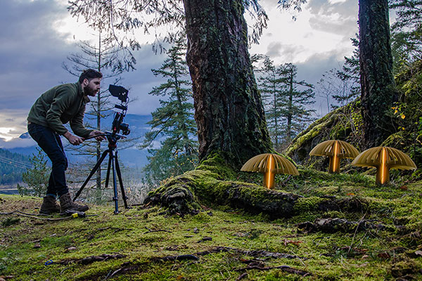 Behind the scenes photo of our Shroom Light